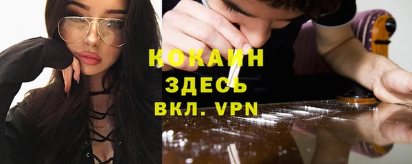 прущие грибы Балахна
