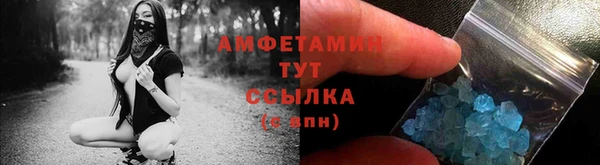 прущие грибы Балахна