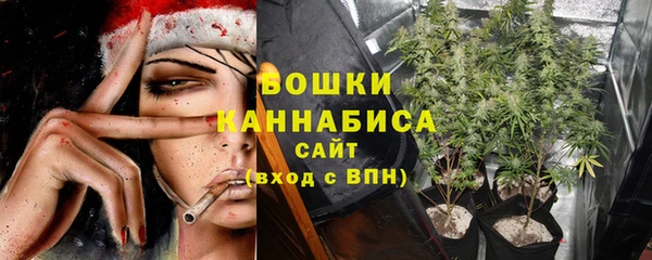 прущие грибы Балахна