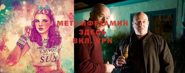 прущие грибы Балахна