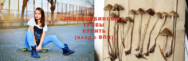 прущие грибы Балахна